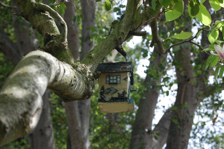 To better ensure home safety, it’s important to assess the health of nearby trees. Photo: Ponderosa Tree Service (2013)