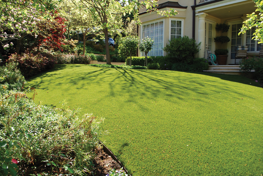 artificial lawn