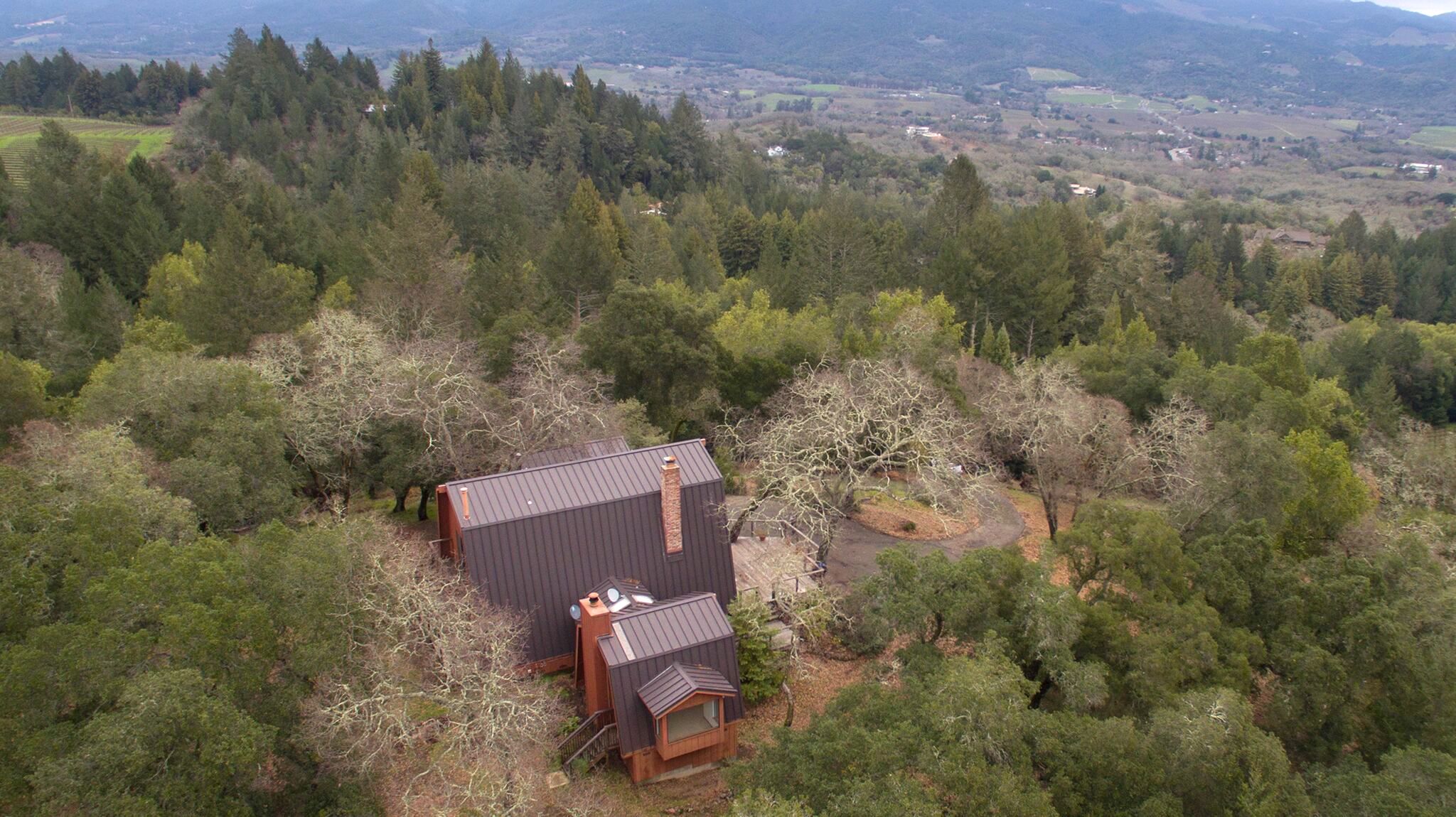 home in open forest