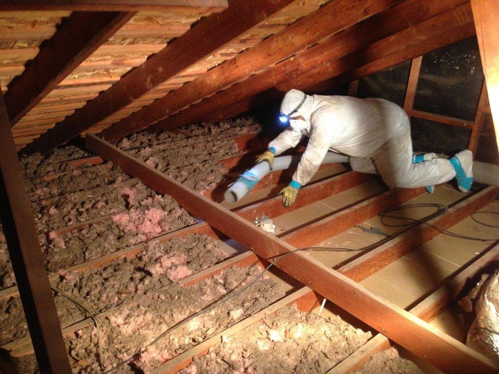 Atticare technician working in attic