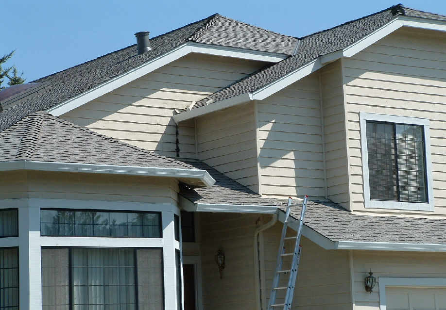 roof inspection