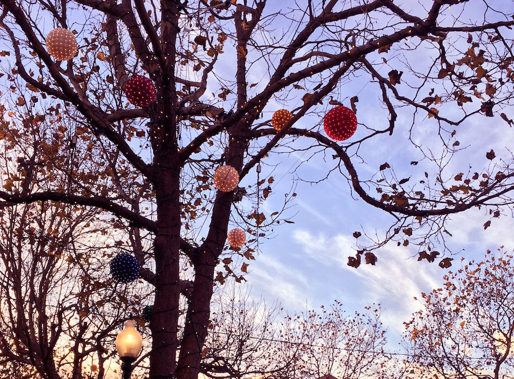 tree with holiday decorations outside