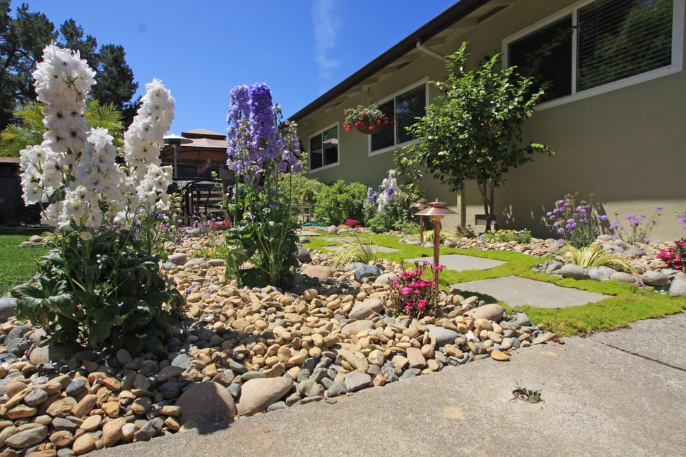 rocks in garden