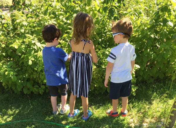 grandchildren enjoying the summer outdoors