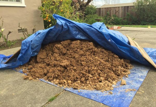 soil in blue tarp